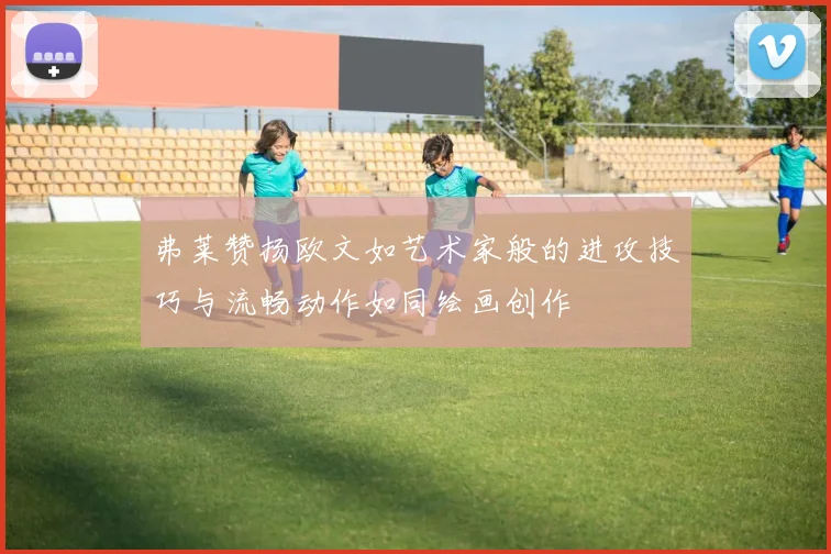 弗莱赞扬欧文如艺术家般的进攻技巧与流畅动作如同绘画创作